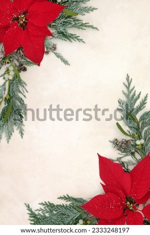Poinsettia flowers with glitter forming a border with mistletoe and cedar cypress snow covered leaf sprigs over old parchment paper background.