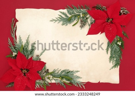 Poinsettia flower background border with mistletoe and cedar cypress snow covered leaf sprigs on old parchment paper over red.