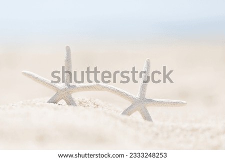 closeup picture of two starfish at the beach, vacation concept