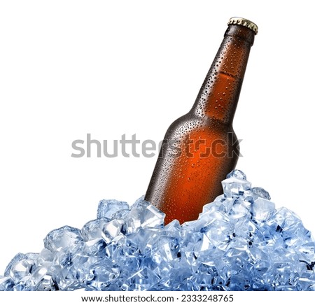 Bottle of beer in ice isolated on white