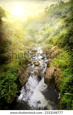 Fast tropical river at sunny sunrise, Sri Lanka