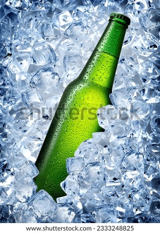 Green bottle in a cold blue ice