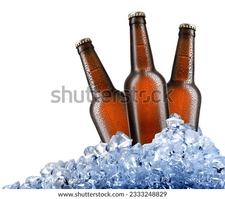Brown bottles of beer in ice cubes isolated on white