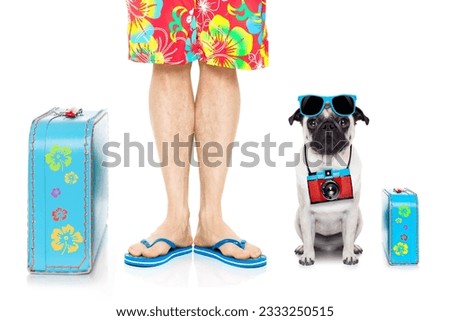 pug dog and owner ready to go on summer holidays vacation with luggage and bags , isolated on white background