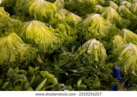 assorted green vegetables at the market stall