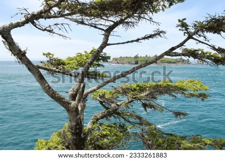 Ocean View at Cape Flattery