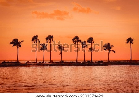 Palm trees at
Matheson Hammock Miami Royalty-Free Stock Photo #2333373421