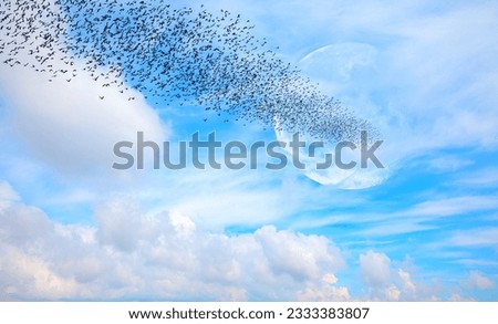 Flock of starlings migrating to the moon - Silhouette of flock birds flying with full moon