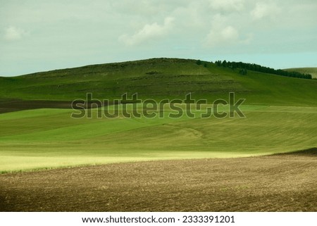 The landscape in Khakassia, Siberia. Royalty-Free Stock Photo #2333391201