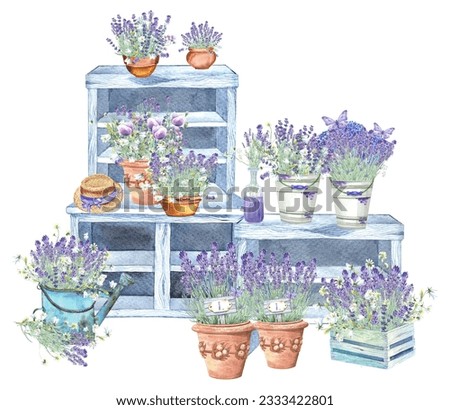 Lilac lavender in vintage pots. Lavender farm. Butterfly. Clip art set, wild flowers, floral elements, Stock illustration on a white background. Hand painted in watercolor.