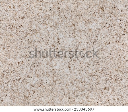 fossil stone texture