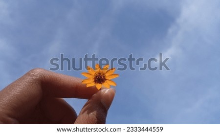 Realistic photo of hand holding butter daisy flower on blue sky background. Nature wallpaper. Perfect for wallpaper, design graphic, or template background.