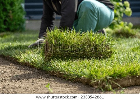 View of unrecognizable gardener fixing sod on field of backyard. Worker laying roll lawn in the garden. Royalty-Free Stock Photo #2333542861