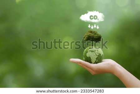 Hand holding green earth with map and have CO2 white cloud on top. Reduce CO2 emissions to limit climate change and global warming. Clean and friendly environment. World sustainable environment.  Royalty-Free Stock Photo #2333547283