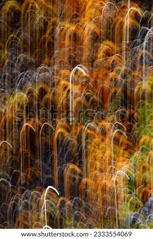 Autumn background, nature colors, intentional movement