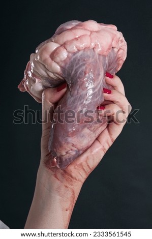 hand with a autentic heart of cow