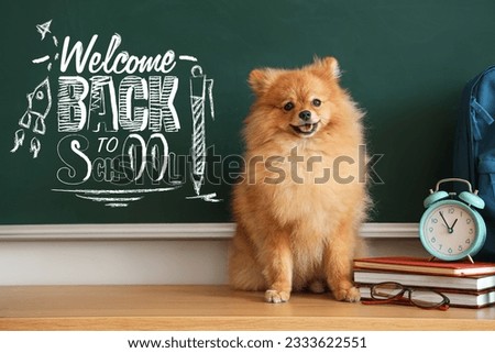 Pomeranian dog with school supplies, alarm clock and text BACK TO SCHOOL