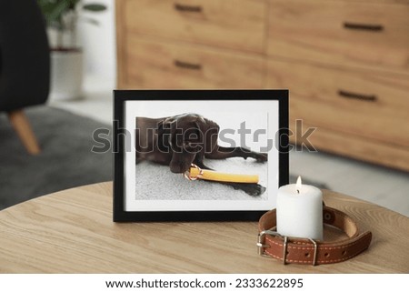 Frame with picture of dog, collar and burning candle on wooden table indoors. Pet funeral