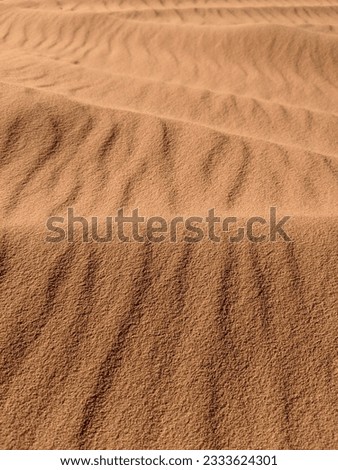 Orange color sand texture background. Wadi Rum desert, Jordan, scenic beautiful panorama,Close-up of redorange sand on desert. Lush Lava for eye-catching images.
