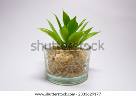 Beautiful artificial plants decorations, faux home tabletop greenery with clear glass pots isolated on white background. Free space, close-up.