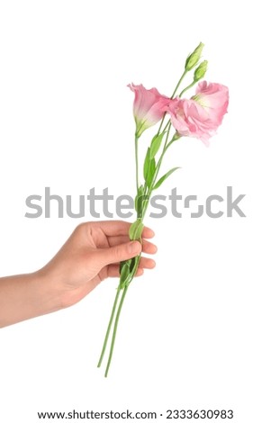 Female hand holding beautiful pink eustoma flowers on white background Royalty-Free Stock Photo #2333630983