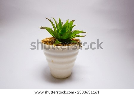 Beautiful artificial plants decorations, faux home tabletop greenery with white pot isolated on white background. Free space, close-up.