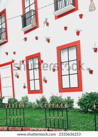 wall and window photos that are designed as attractive as possible and decorated with beautiful little flowers