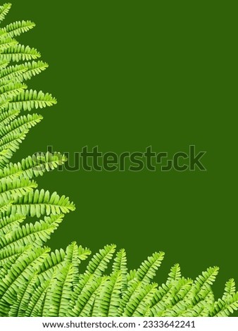 leaf background for text or advertisement