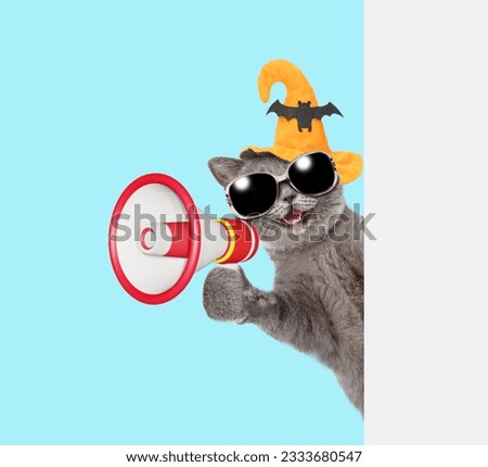 Happy cat wearing hat for halloween talks into megaphone and looks from behind empty white banner. isolated on blue background