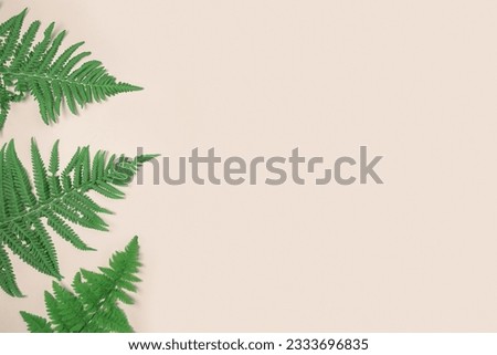Fresh green fern leaves on light beige background banner. Natural layout. Summer or spring sale template. Minimal concept. Nature pattern. Flat lay copy space top view. Tropical blank mockup. Frame AD