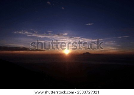 Sunrise over vast blossoming meadow landscape silhouette on background