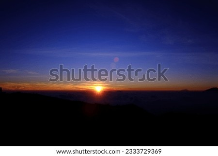 Sunrise over vast blossoming meadow landscape silhouette on background