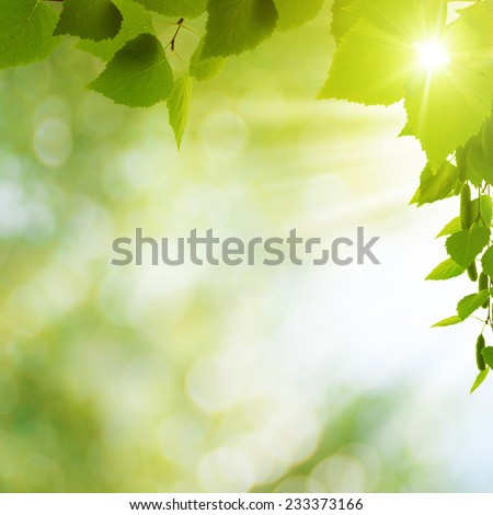 Summer seasonal backgrounds for your design Royalty-Free Stock Photo #233373166