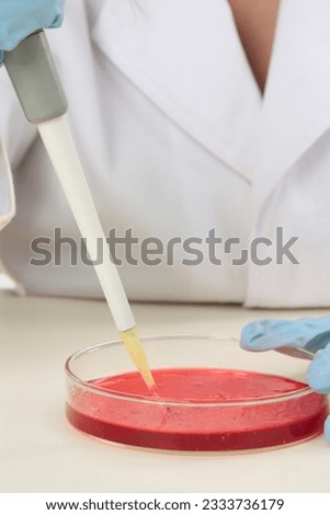 A scientist at work in a laboratory.