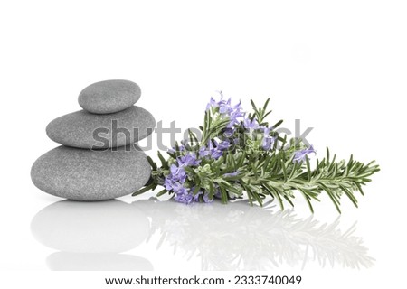 Rosemary herb leaf and flower sprigs with three grey spa stones, isolated over white background with reflection.