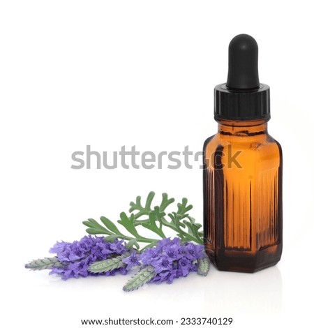 Lavender herb flower leaf sprigs with an aromatherapy essential oil dropper bottle, isolated over white background.