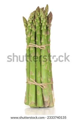 Asparagus spears in a bunch tied with string, isolated over white background.