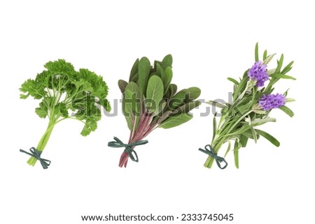 Parsley, sage and lavender flower herb leaf sprigs tied in bunches, isolated over white background.