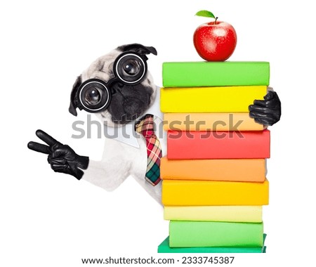 pug dog behind a stack of books very clever , smart but with dumb nerd glasses, isolated on white background