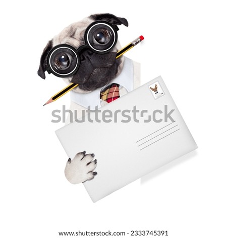 mail delivery pug dog , holding pencil and post envelope,behind blank white banner or placard, isolated on white background