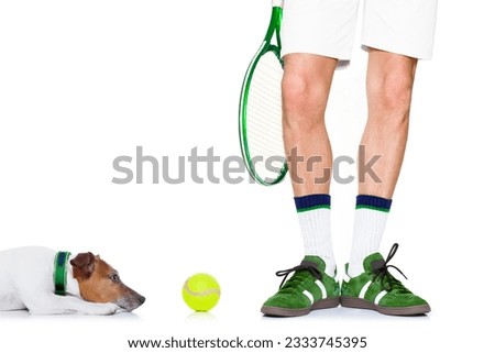 jack russell dog with owner as tennis player with ball and tennis racket or racquet isolated on white background