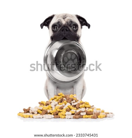 hungry pug dog holding bowl with mouth behind food mound , isolated on white background