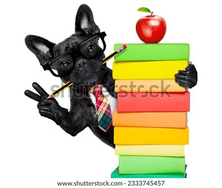 french bulldog dog behind a stack of books very clever , smart but with dumb nerd glasses, isolated on white background