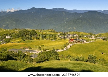 Beautiful countryside rural scenery with golden plants under blue sky.