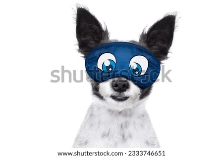 dog resting ,sleeping or having a siesta with eye mask, isolated on white background