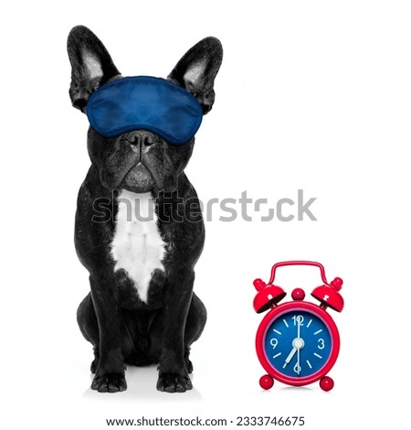french bulldog dog resting ,sleeping or having a siesta with alarm clock and eye mask, isolated on white background