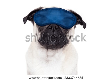 pug dog resting ,sleeping or having a siesta with eye mask, isolated on white background