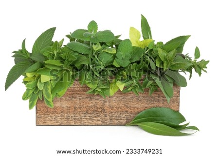 Herb leaf sprigs of rosemary, bay, oregano, golden marjoram, mint varieties, variegated and purple sage in an old rustic wooden box, isolated over white background.