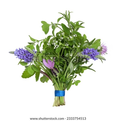 Herb leaf and flower posy of lavender varieties, oregano, chive, rosemary, lemon balm, eyebright and thyme varieties isolated over white background.