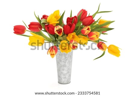 Tulip flowers in a distressed aluminum vase isolated over white background.